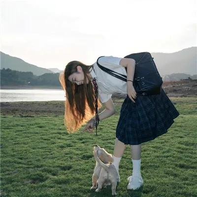 木材宝藏狗